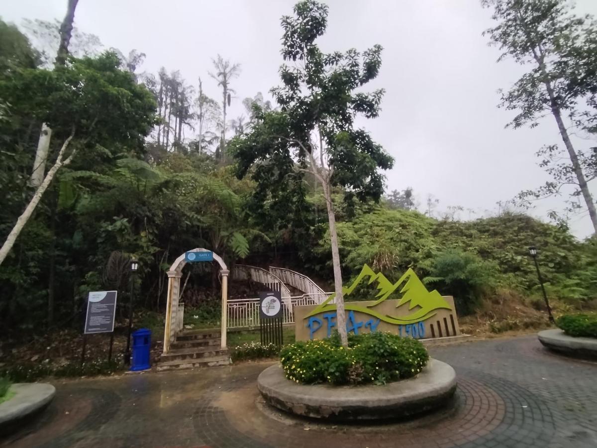 Daddy Homes Pasar Malam Golden Hills Cameron Highlands