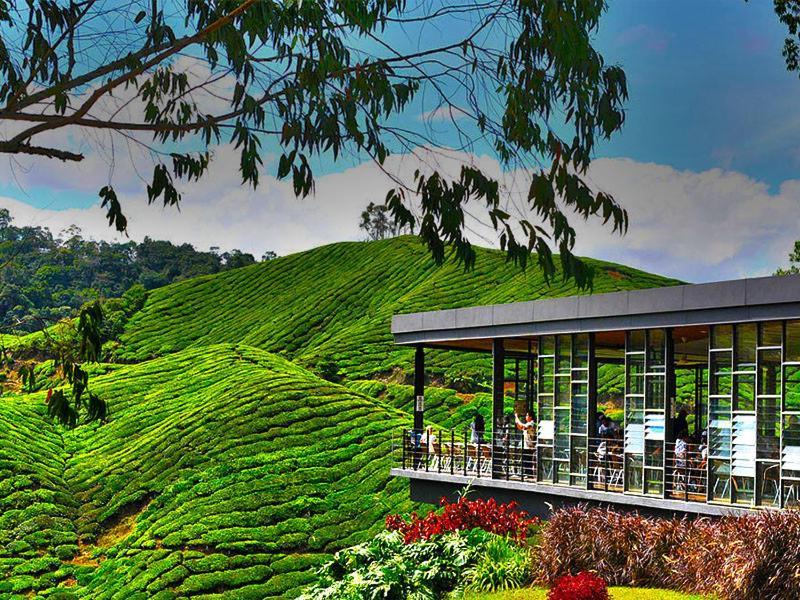 Daddy Homes Pasar Malam Golden Hills Cameron Highlands Apartment Brinchang