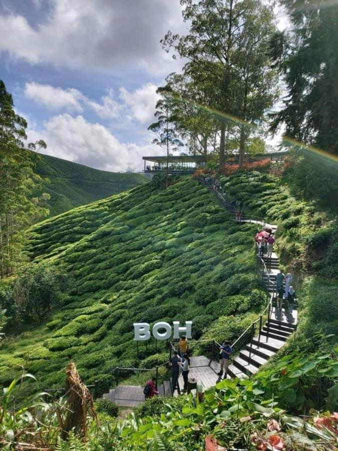 Daddy Homes Pasar Malam Golden Hills Cameron Highlands *